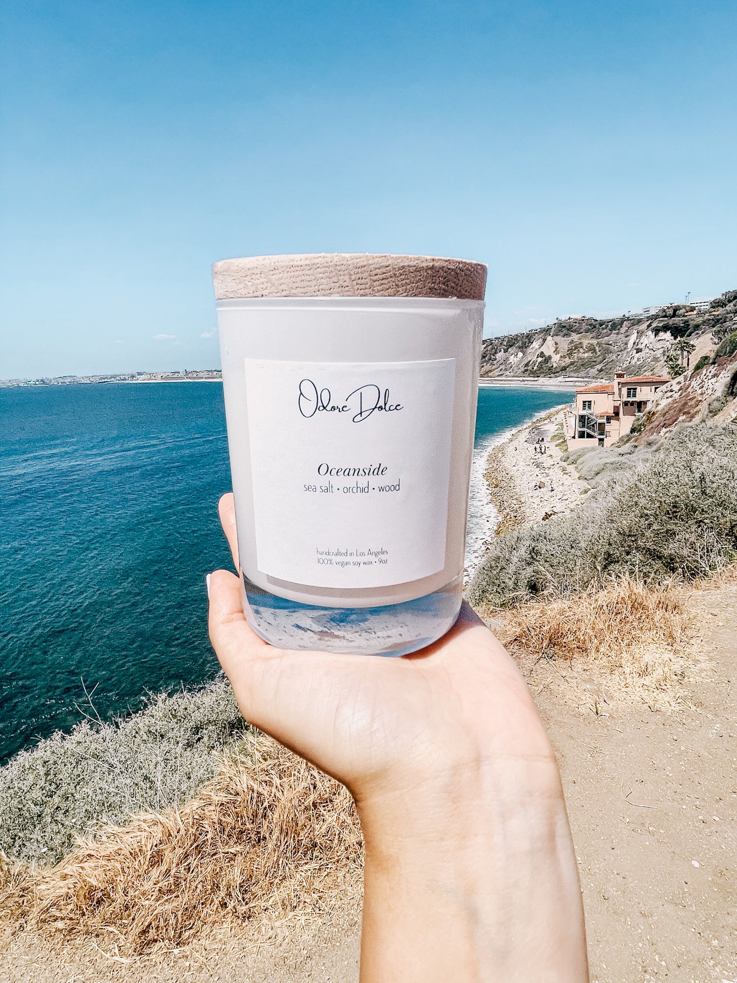 Oceanside-Sea Salt & Orchid